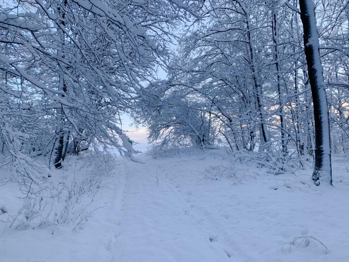 Ferienwohnung Inmitten Der Natur Mit Sauna Steinau an der Strasse Екстер'єр фото